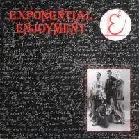 Exponential Enjoyment - Style Introduction / Think For A Moment!