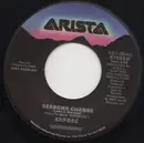 7inch Vinyl Single - Exposé - Seasons Change