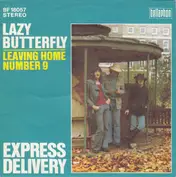 Express Delivery