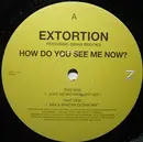 12'' - Extortion Featuring Dihan Brooks - How Do You See Me Now?