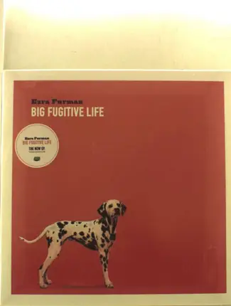 Ezra Furman - Fugitive