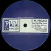 12inch Vinyl Single - F.M. Project - You Got The Love