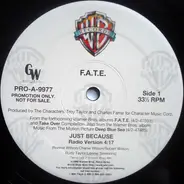 F.A.T.E. - Just Because
