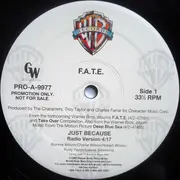 12inch Vinyl Single - F.A.T.E. - Just Because