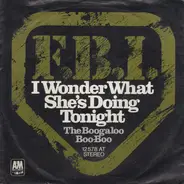 F.B.I. - I Wonder What She's Doing Tonight