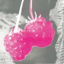 CD - F.S. Blumm - Welcome