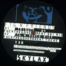 12inch Vinyl Single - F.T.G. - F.T.G. N' Friends