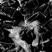 F:A.R. - Passi Uguali