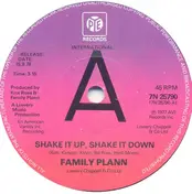 Family Plann - Shake It Up, Shake It Down