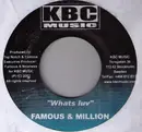 7inch Vinyl Single - Famous & Million Stylez / Michael Night & Rebelius - What's Luv / Rail Up
