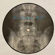 12inch Vinyl Single - Fantastic Plastic Machine - Why Not