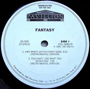 Fantasy - (Hey Who's Gotta) Funky Song