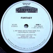 Fantasy - (Hey Who's Gotta) Funky Song