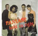7inch Vinyl Single - Fantasy - Hold On Tight