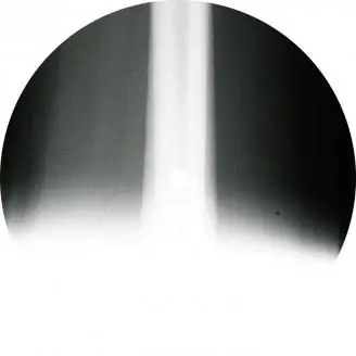 Fango - Tei