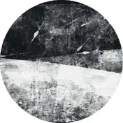 FANGO - N1