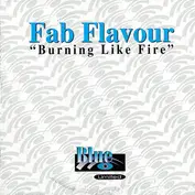 Fab Flavour