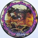 7inch Vinyl Single - Fabulous Poodles - Workshy - picture disc