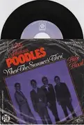 7inch Vinyl Single - Fabulous Poodles - When The Summer's Thru' / Bike Blood