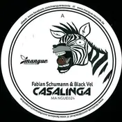 Fabian Schumann - CASALINGA