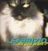 12inch Vinyl Single - Fabrizio - Do You Want