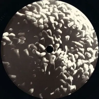 Fabrizio Lapiana - LAQ 04