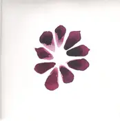fabrizio maurizi - Chronicles - Limited Picture Sleeve Edition