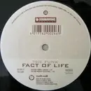 12inch Vinyl Single - Fact Of Life - The Funk