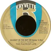 Facts of Life - Caught In The Act (Of Gettin' It On) / L-O-V-E