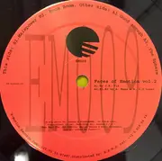 12inch Vinyl Single - Faces Of Emotion - Faces Of Emotion EP 2 - EP
