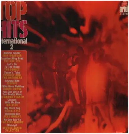 Fair Weather / The Hollies / The Equals a.o. - Top Hits International 2