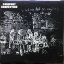 LP - Fairport Convention - What We Did On Our Holidays
