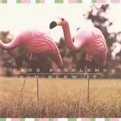Fake Problems - Florida Doesn't Suck