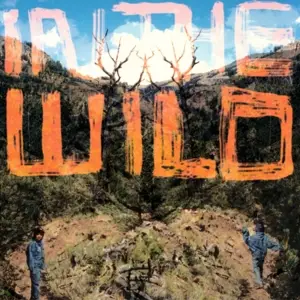 FaltyDL - In the Wild