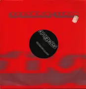 12inch Vinyl Single - Fallen Angels - Taken Over / Frequency (Tango Remix)