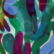 Farafina - Calico Soul