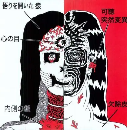 FARFLUNG/BLACK RAINBOWS - SPLIT
