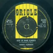 Faron's Flamingos - See If She Cares