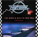 12inch Vinyl Single - Fastway - The World Waits For You