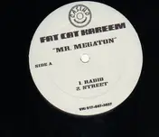 Fat Cat Kareem - Mr. Megaton