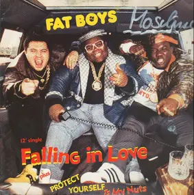 The Fat Boys - Falling In Love