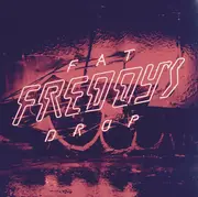 Double LP - Fat Freddy's Drop - Bays