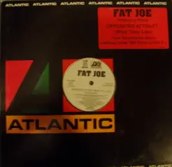 Fat Joe - Opposites Attract