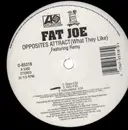 12inch Vinyl Single - Fat Joe - Opposites Attract