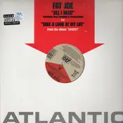 Fat Joe - All I Need