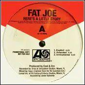 12inch Vinyl Single - Fat Joe - Here's A Little Story / Victim
