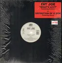 12inch Vinyl Single - Fat Joe - What's Luv / Definition Of A Don