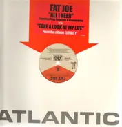 Fat Joe - All I Need