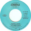 7inch Vinyl Single - Fat Larry's Band - Sunrise, Sunset