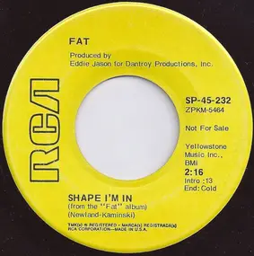 Fat - Shape I'm In